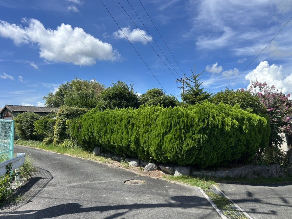 （テスト物件）　売地